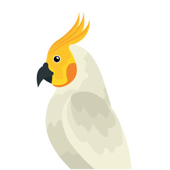 parrot bird exotic isolated icon vector illustration design