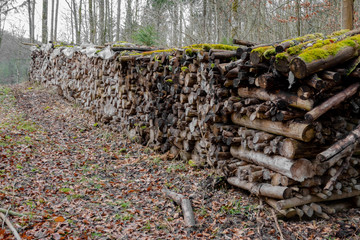 Fototapeta na wymiar alter Holzstapel im Winter