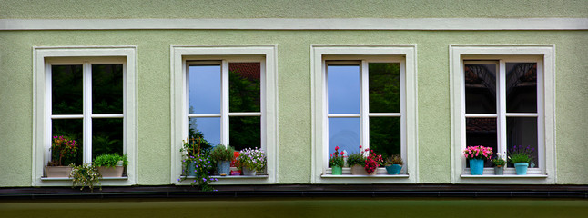 Four windows with flowers in row of a house front