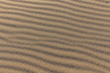 Sand Texture. Background from fine sand. Sand background. selective focus