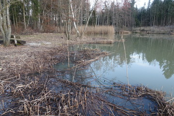 Schöne Landschaft in Donau-Ries