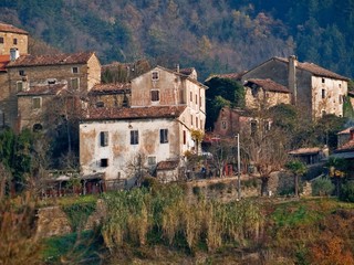 Obraz premium rural