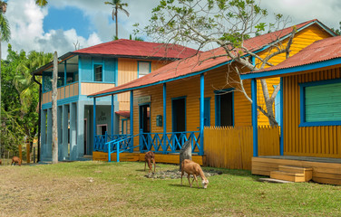 Biran plantation, the Fidel and Raul Castros birthplace. Holguin, Cuba.