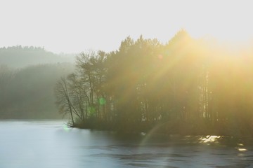 sunbeam setting over forest and river