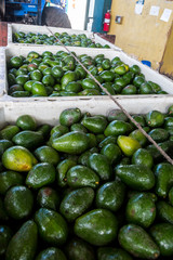dramatic image of avocados ready for processing in a small caribbean town in dominican republic.