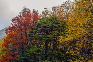 autumn in Patagonia