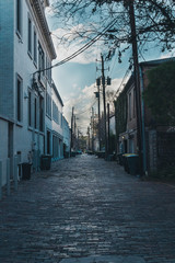 Savannah Alley