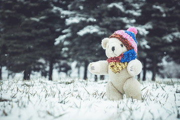 bear toy with knitted scarf and hat