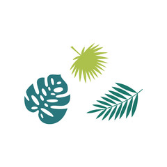 Set of palm tropical leaves exotic shape flat vector illustration isolated.