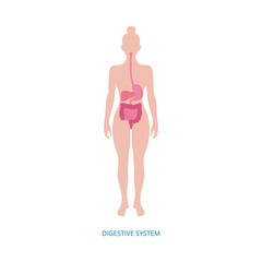 Human digestive system diagram on female body, isolated flat medical llustration