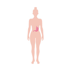 Fototapeta premium Female figure shape with stomach icon, flat vector illustration isolated.