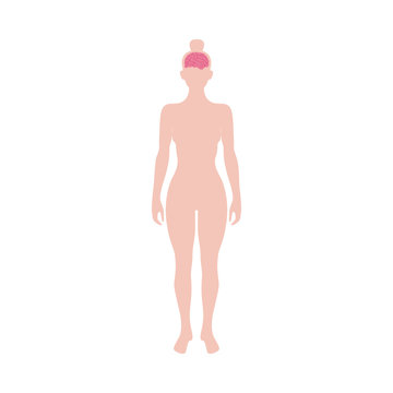 Female body with anatomical icon of brain, flat vector illustration isolated.