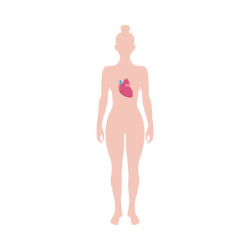 Human body with heart inside - medicine diagram of standing woman