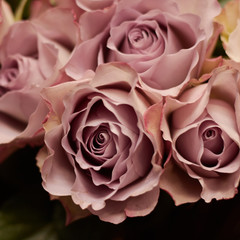 bouquet of lilac roses