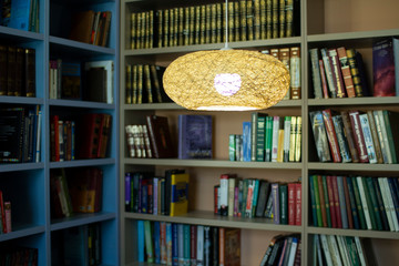 Lamp in the library . Bookshelves in the background.