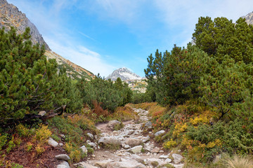 Autumn mountain hike trail near to Strbske pleso and Skok waterfall in High Tatras National Park in Slovakia © andras_csontos