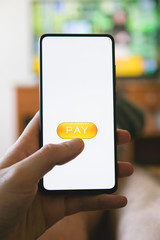 Boy paying something with the smartphone or mobile phone from the sofa at home