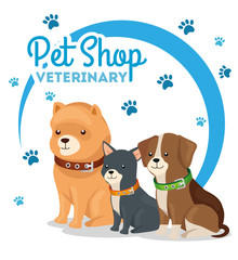 pet shop veterinary with little dogs vector illustration design