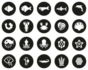 Sea Life & Seafood Icons White On Black Flat Design Circle Set Big