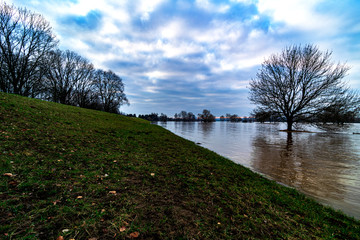 Hoichwasser in der Bonner Rheinaue