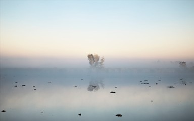 Obraz na płótnie Canvas Misty morning in the lagoon