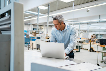 Businessman using laptop in factory
