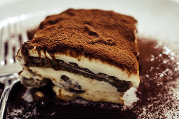 slice of tasty semifreddo creamy cake, with chocolate and coffee