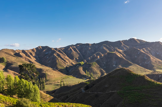 New Zealand, Oceania, North Island, Tongariro National Park, North Island, Landscape along River Road, New Zealand State Highway 43