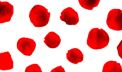 .background with red rose petal