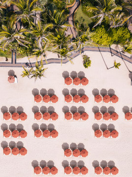 Indonesia, Bali, Aerial view of umbrellas and palms on beach