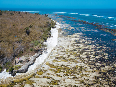 Indonesia, Aerial view of coastline of Java island