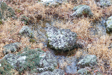 제주도 한라산 1100고지 겨울 설경 눈꽃 