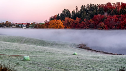 Germany, Bavaria, Eurasburg, Meadow with frost