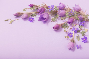 beautiful spring flowers on purple background