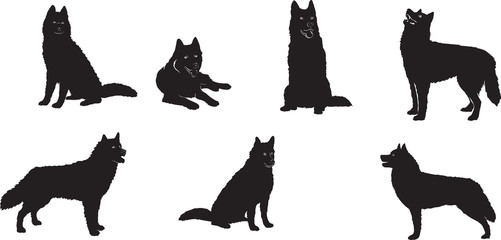 husky, dog, husky figure,  various poses, illustration, vector, different positions, illustration, black and white