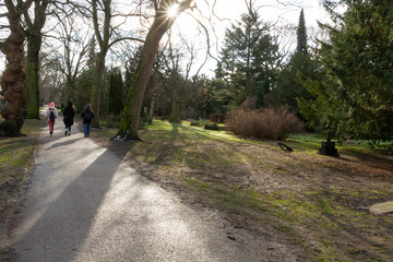 paseo por el cementerio