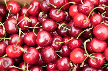 Viele frische Kirschen zum Verkauf auf dem Markt