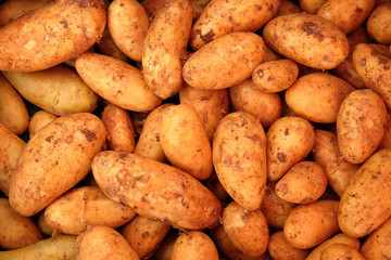 Viele Kartoffeln zum Verkauf auf dem Markt