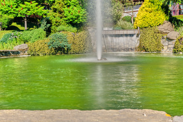 Flowing water in the backyard garden