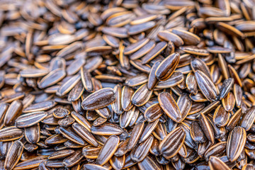 Organic, sweet and nutty sunflower seeds in shell