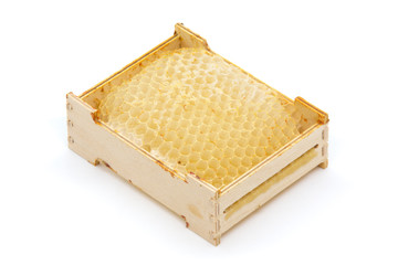 Empty honeycombs in a wooden frame