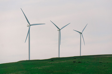 Fototapeta premium Wind Mill