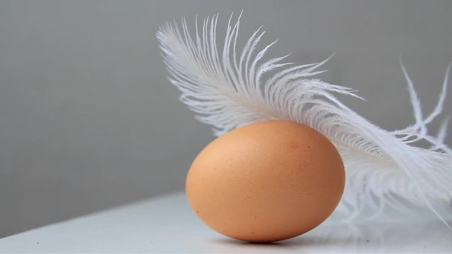 Dark Brown Eggs Of Hens Lies Covered With A White Fluffy Feather, Easter Concept