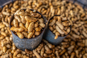 Harvested peanuts in shell sold at a fresh market