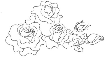  Rose illustrations on isolate background.Doodle style.Cloth pattern.Hand-drawn line.For greeting cards and invitations of the wedding,birthday,Valentine'day,mother'day, and other seasonal holiday.