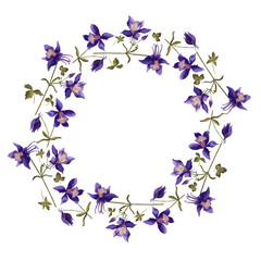 Watercolor wreath of aquilegia flowers; purple flowers wreath; raster illustration