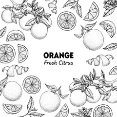 Orange hand drawn package design. Vector illustration. Orange sketch for menu design, brochure illustration. Black and white design. Citrus orange frame illustration. Can used for packaging design.