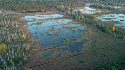 The reclaimed swamp became a swampy meadow surrounded by forest. Nesting place for birds. Ecological concept. Aerial view.