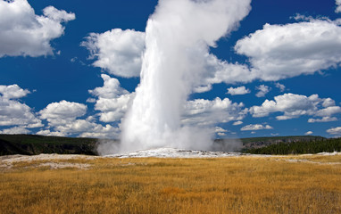 Fototapeta na wymiar Old Faithful is a cone geyser located in Yellowstone National Park in Wyoming, United States. Old Faithful was named in 1870 during the Washburn-Langford-Doane Expedition and was the first geyser in t
