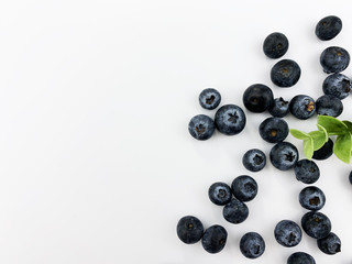 blueberry8
